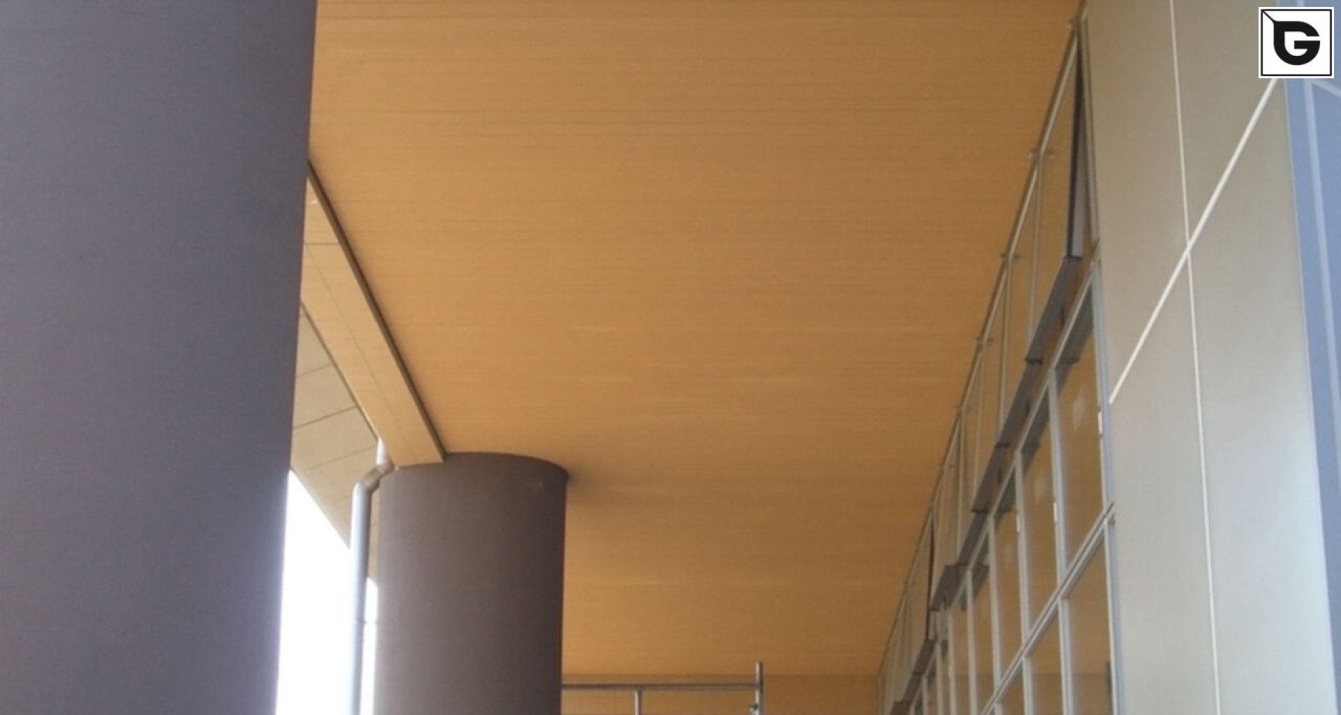 Institutionelle Einrichtungen_Dachuntersicht_Gebogene Profilen