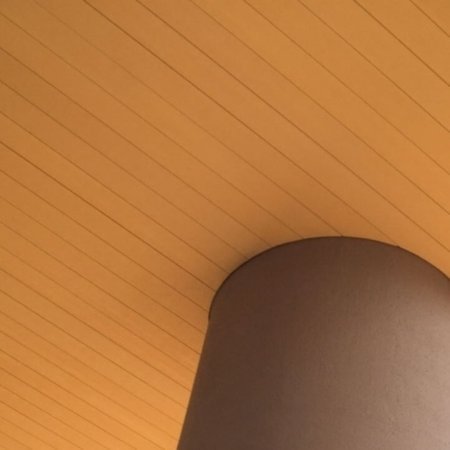 Institutionelle Einrichtungen_Dachuntersicht_Gebogene Profilen