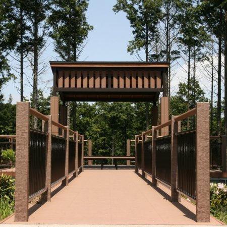 Institutionelle Einrichtungen_Pergola, Dachüberstand, Dach_Lehranstalt