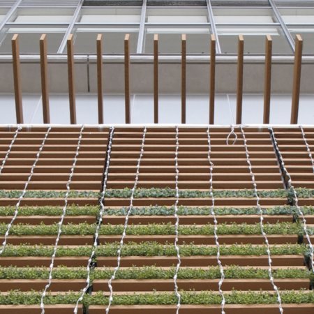 Kaufmännische Gebäude_Pergola, Dachüberstand, Dach_Einkaufszentrum